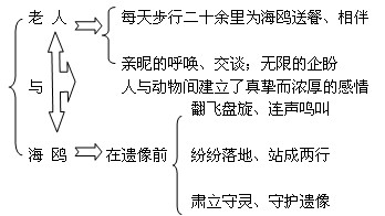 《老人与海鸥》教学设计一