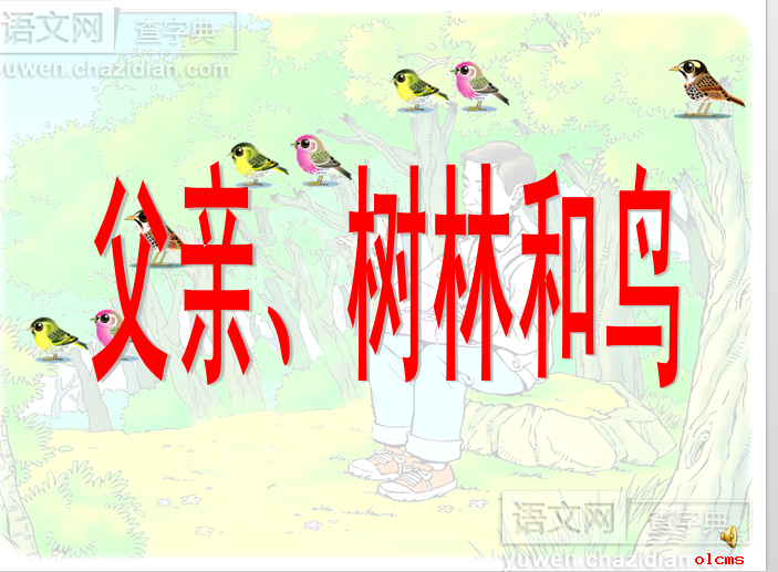父亲、树林和鸟PPT