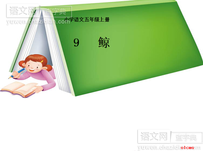 鲸