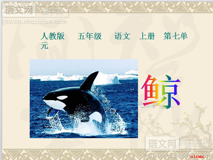 五年级语文上册鲸PPT