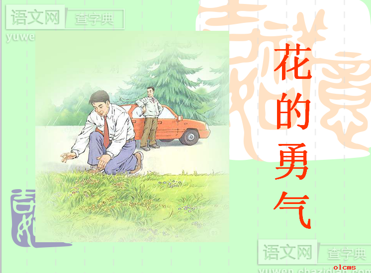花的勇气课件PPT