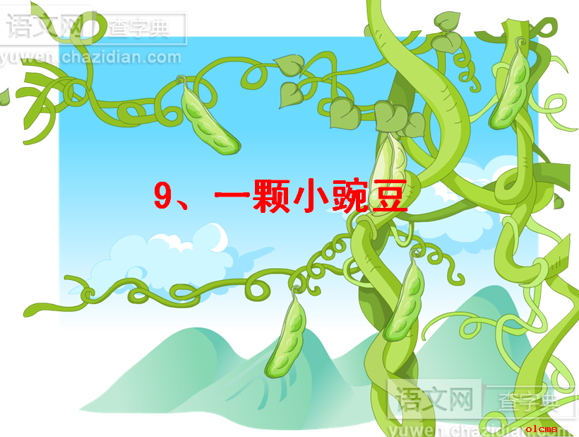 一颗小豌豆课件下载