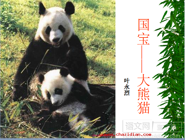 大熊猫优秀课件