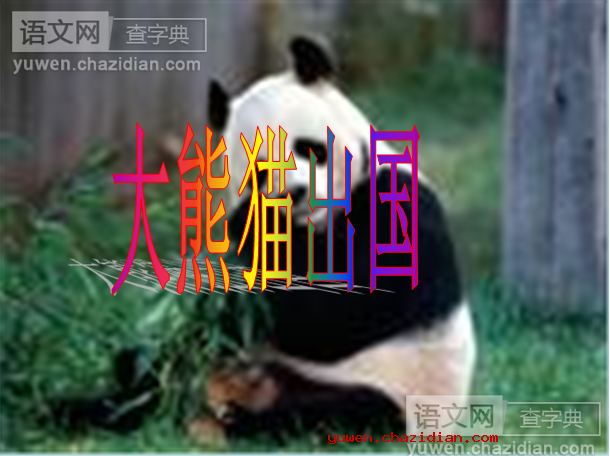 大熊猫精品课件