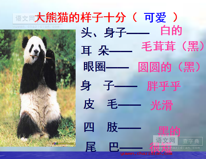 大熊猫谜语图片